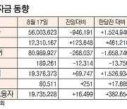 [데이터로 보는 증시]증시 주변자금 동향(8월 17일)