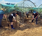 충남도의회, 부여·청양서 침수피해 농가 수해복구 지원