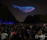 서울 상공에 고래가
