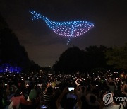 서울 상공에 고래가