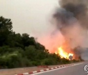 북아프리카 알제리 덮친 '산불 토네이도'..최소 38명 숨져(종합)