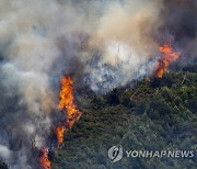 Spain Wildfires