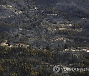 Portugal Wildfires