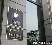 금감원, 삼성증권 불법대출 의혹 제재심 종결..공은 금융위로
