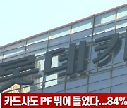 (영상)카드사도 PF 뛰어 들었다..84%는 롯데카드가 독식