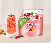 롯데마트, "제로칼로리 음료 인기..3주간 2만개 판매"