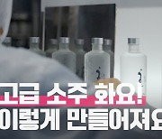 10년간 증류식 소주 1위 '화요', 최첨단 스마트 공장에서 日 3만병 뚝딱 [味술관]