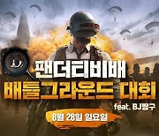 팬더TV, 배틀그라운드 대회 개최..'총 상금 1700만원'