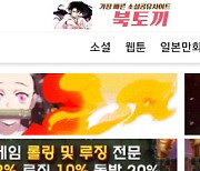 K-콘텐츠 발목 잡는 토끼.."밤토끼 잡았더니 뉴토끼·북토끼라니" [IT돋보기]