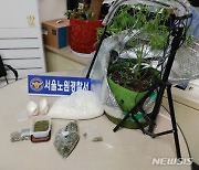 중국집 창고서 대마초 재배·필로폰 제조한 30대 남성 구속