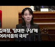 김여정 "윤석열이란 인간자체가 싫다"..담대한 구상 제안 거부