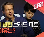 [현장영상] 브래드 피트 "영화 아닌 음식 때문에 한국 와..봉준호 영화 출연하고파"