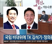 국민의힘 비대위에 TK 김석기·정희용 의원 합류