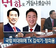 국민의힘 비대위에 TK 김석기·정희용 의원 합류