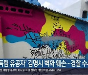 '독립 유공자' 김명시 벽화 훼손..경찰 수사