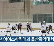 유소년 아이스하키대회 울산과학대서 개최