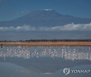 아프리카 최고봉 킬리만자로에 와이파이 '팡팡'