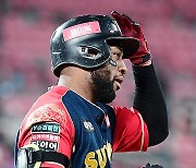 'KBO MVP' 한신과 재계약? kt는 전혀 신경쓰지 않고 있다