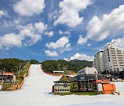 포천 베어스타운, 시설점검후 운영 잠정중단 결정