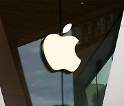 '아이폰·아이패드·맥 심각한 보안결함 있다'..애플 보고서 발표