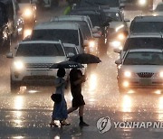 많은 비 내리는 서울