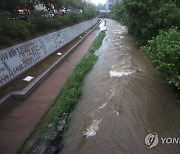 강한 비에 출입 통제되는 청계천