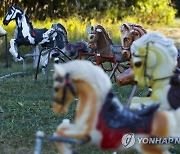 USA CURIOSITIES PONYHENGE SITE