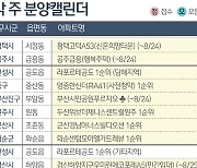 [분양캘린더]다음주 경기·인천·강원 등 전국 6040가구 분양
