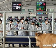 전남도, 축산물 안정 공급 위해 특별 관리주간 운영