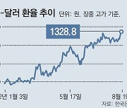 美긴축 우려에 환율 장중 1328.8원.. 연고점 경신