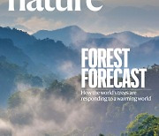 [표지로 읽는 과학] 기후변화로 위기에 처한 '숲'