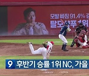 후반기 승률 1위 NC, 가을 야구 기대감↑