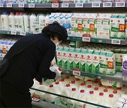 소비자 무시하는 우유가격, 이러다 외국산에 시장 다 뺏길 판 [사설]