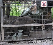 [사건, 그 후]소변보다 총 맞는 사고..또 일어날 수 있다