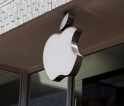 아이폰·아이패드 보안에 구멍 뚫렸다.. 애플 "취약점 발견"