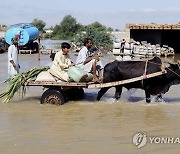 PAKISTAN WEATHER