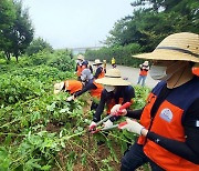 제주항공, 천연기념물 보호 위해 생태정화활동 나서