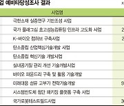 12조 '과학기술 R&D' 10개 중 3개만 예타 통과