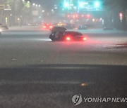 폭우 침수車, SUV보다 세단이 더 많았다..왜?