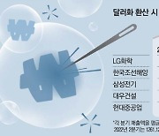 2분기 호실적, 원화약세 감안하면 착시?