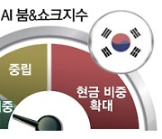 동학개미용 '붐&쇼크 지수' 선보여