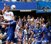 'EPL 단일클럽 최다골' 케인, '전설' 시어러도 잡을까