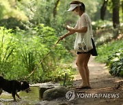 반려견과 숲길 산책