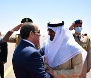 EGYPT UAE DIPLOMACY