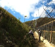 '한반도 식물의 보고' DMZ.. 훼손된 산림생태계 복원 절실