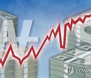 원달러환율 1335.5원 개장..13년여만에 최고