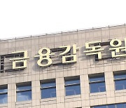 금감원, '이상 외환송금' 국민·하나·농협은행 검사 개시