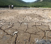 영산강 평림댐 가뭄 '심각'.."생활·공업수는 차질없이 공급"