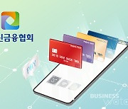 차기 여신금융협회장 '2관·1민' 3파전