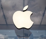 애플 전문 배테랑 투자자 진 먼스터 "애플 주가 40% 이상 더 오를 것"